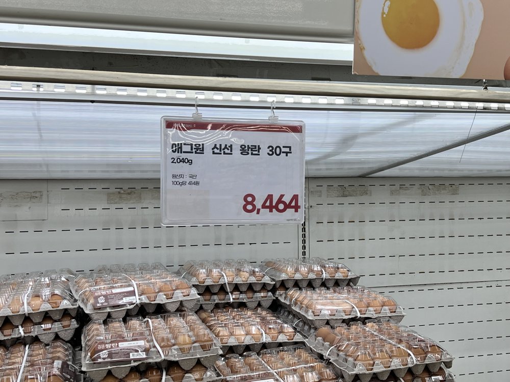 하나로마트 양재 계란 가격표